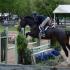 Brownland Farm Spring I